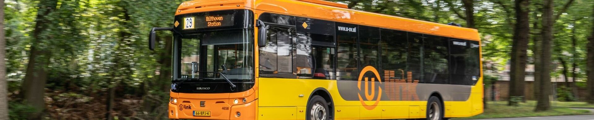 ULink bus lijn 29 rijd door een bosrijk gebied.