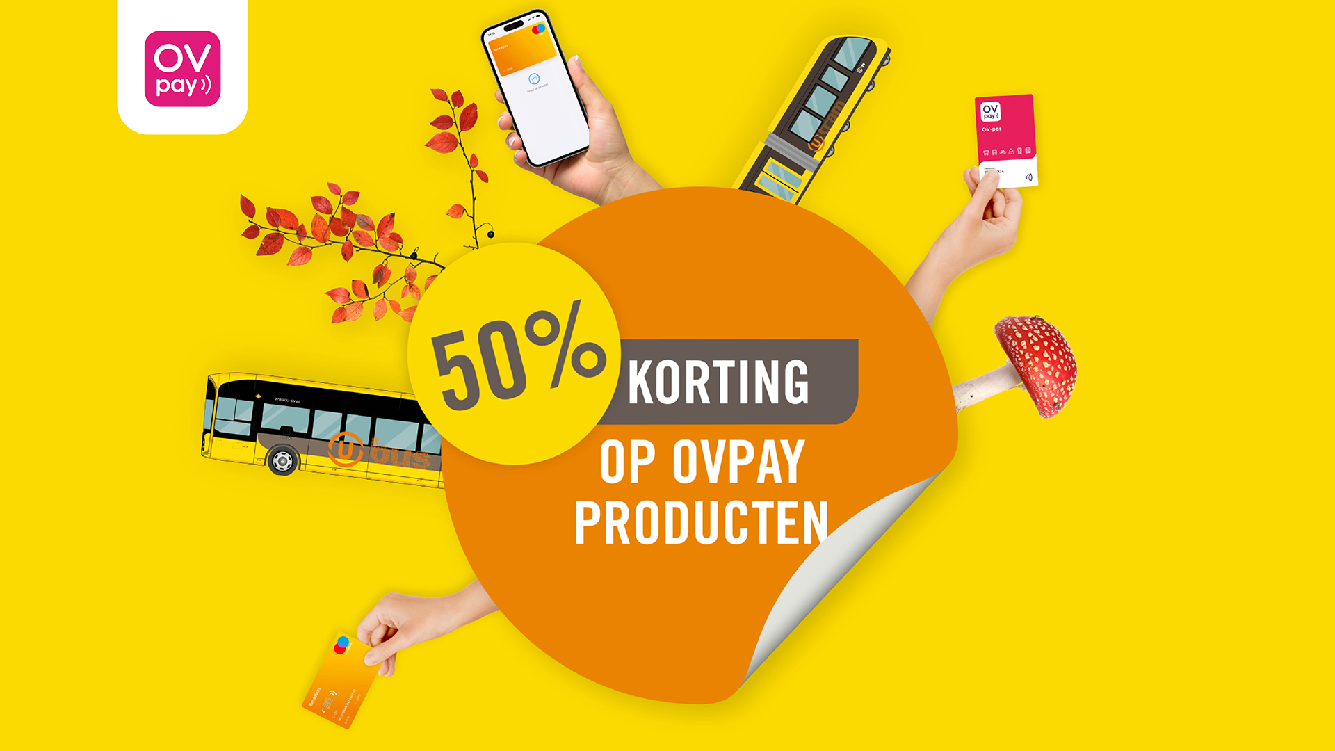 Afbeelding van actie met tekst: 50% korting op ovpay producten